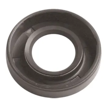 Сальник Briggs&Stratton