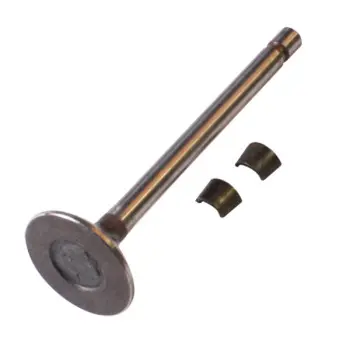 Клапан выпускной Briggs&Stratton