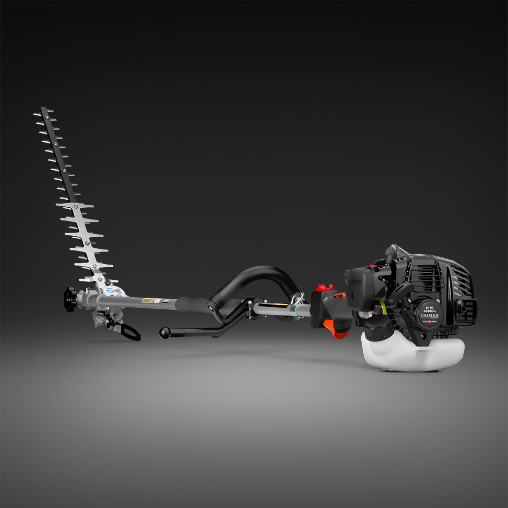 caiman 1