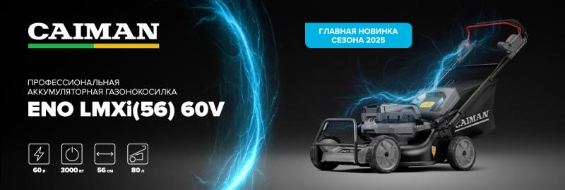 Главная новинка сезона 2025