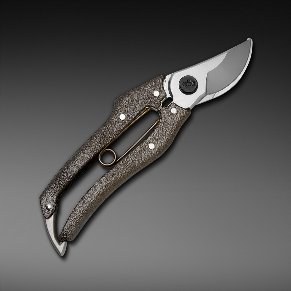 caiman 1