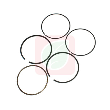0001060080.jpg