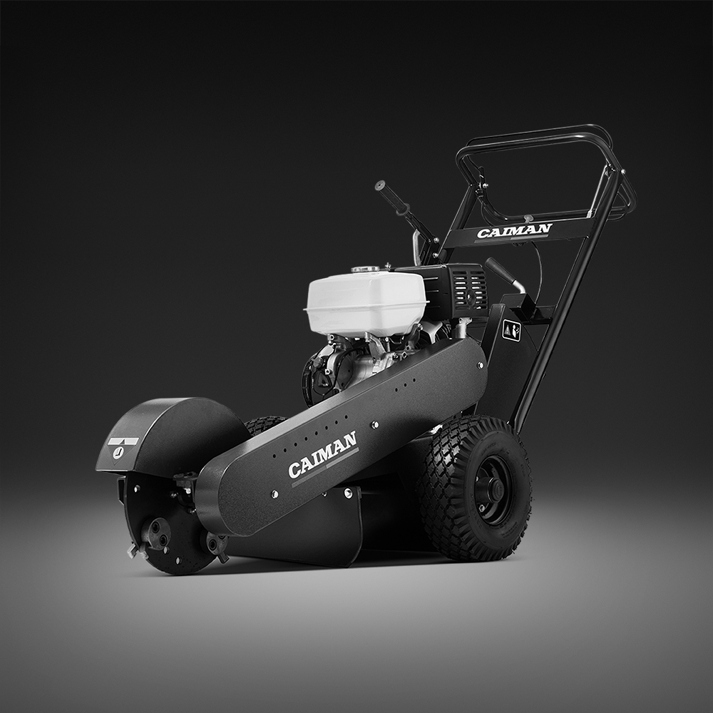 caiman 1