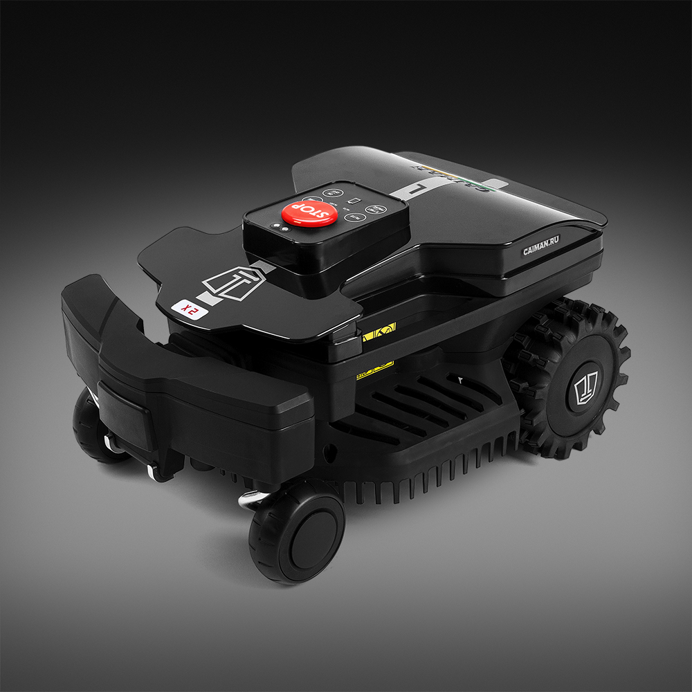 caiman 1