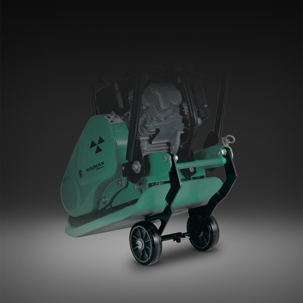 caiman 1