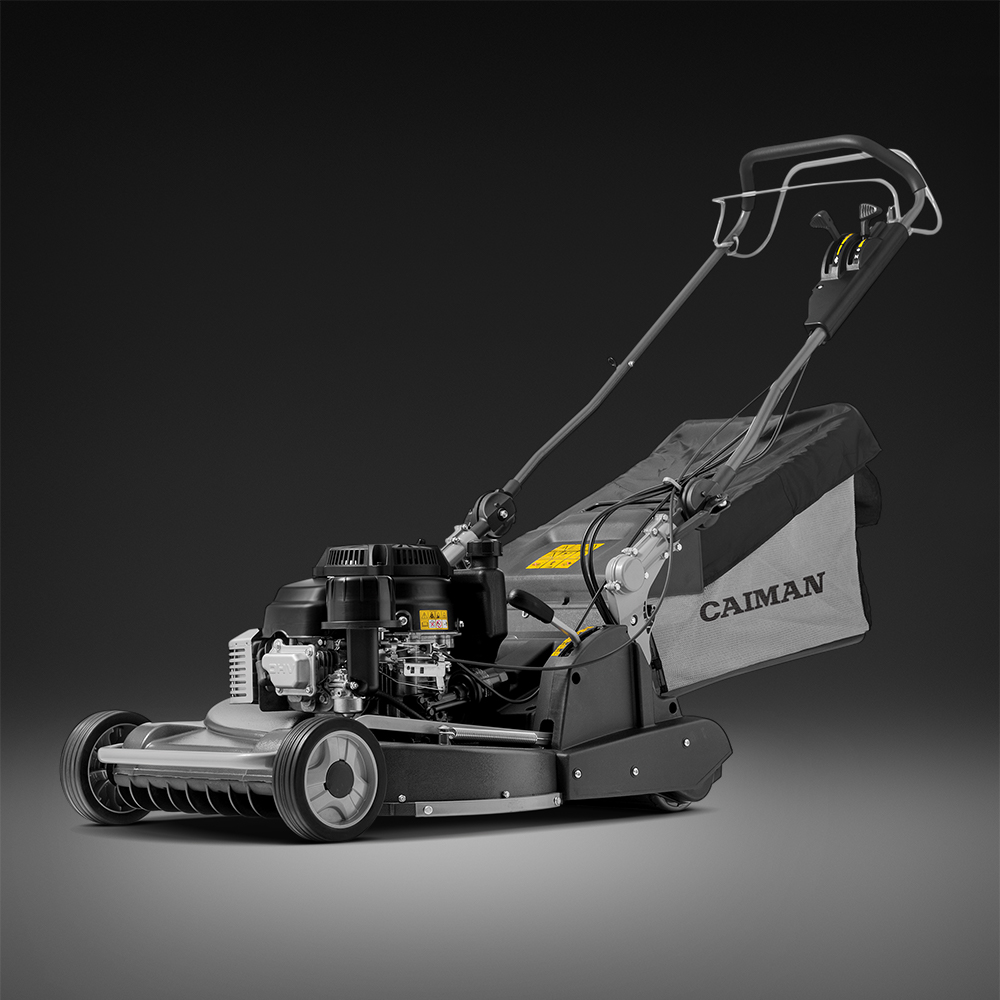 caiman 1
