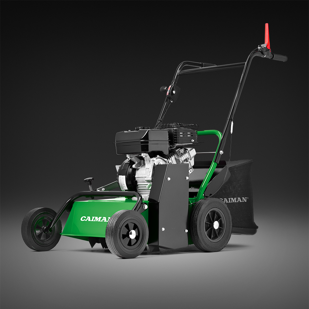 caiman 1