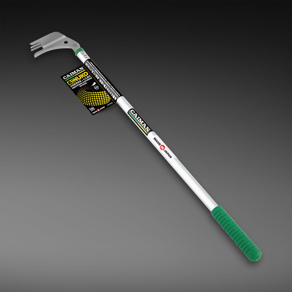 caiman 1
