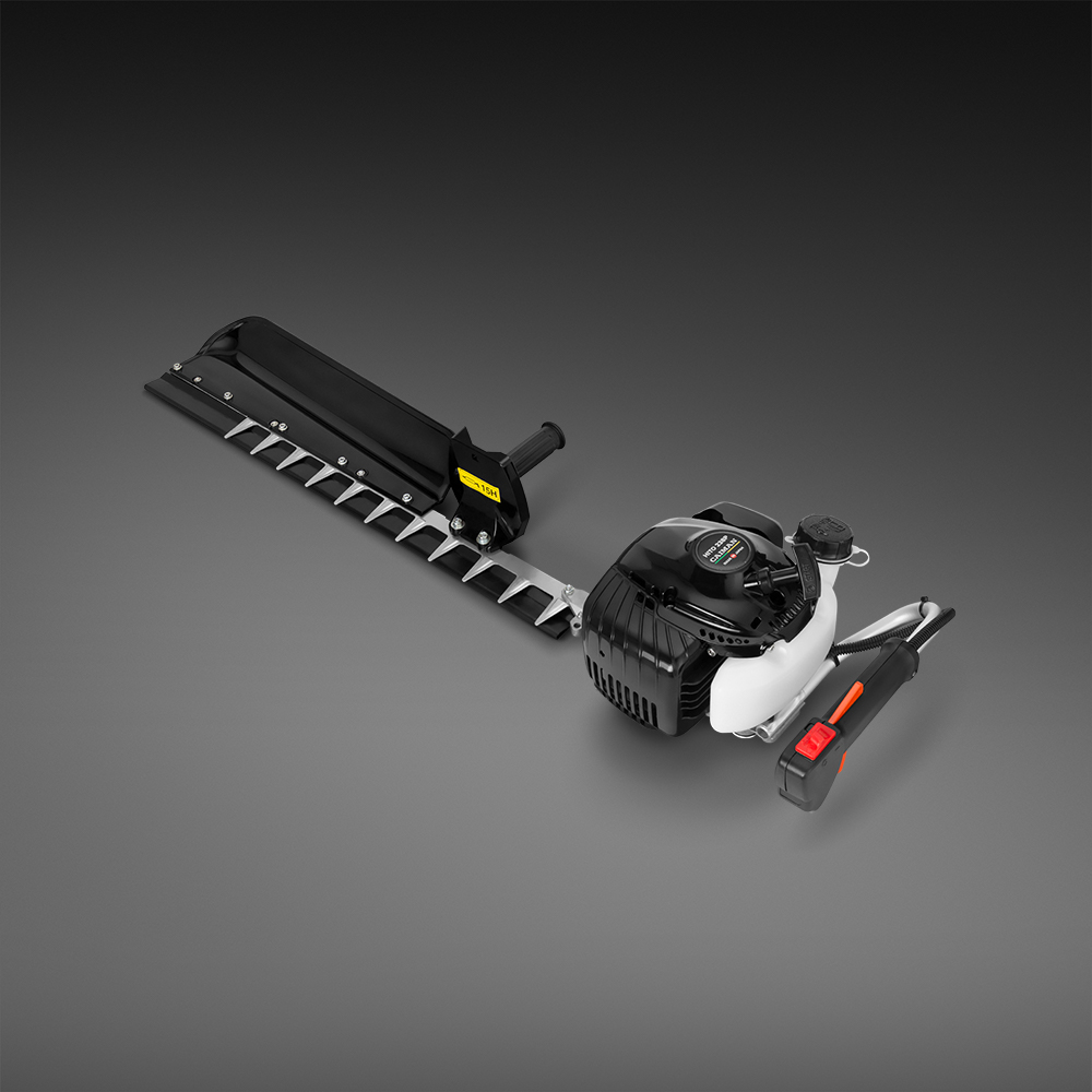 caiman 1
