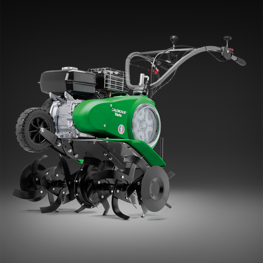 caiman 1