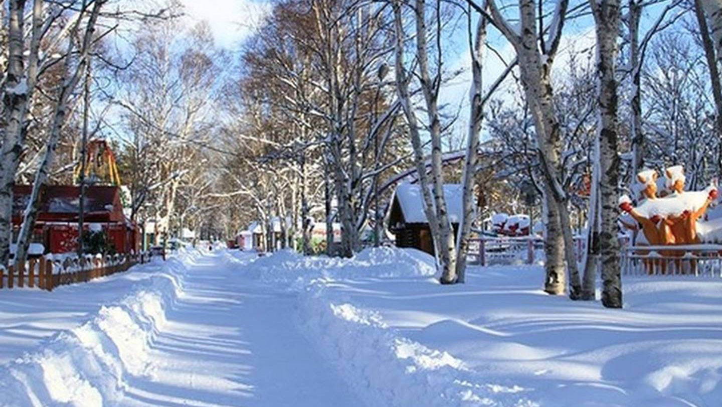 Парк Гагарина Новокузнецк зима