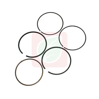 0001060080.jpg