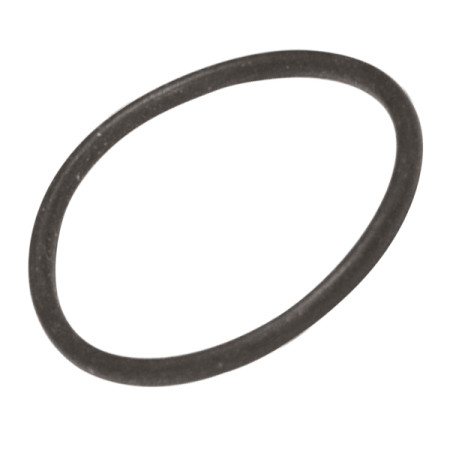 Кольцо уплотнительное SPARTA 25TR Oleo-Mac