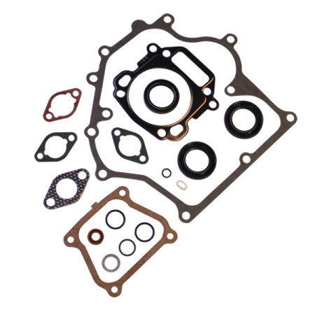 Уплотнители (комплект) Briggs&Stratton