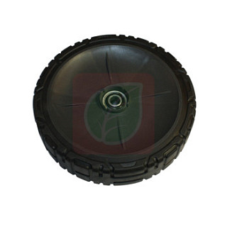7500540.jpg