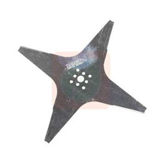 CS_D0155.jpg