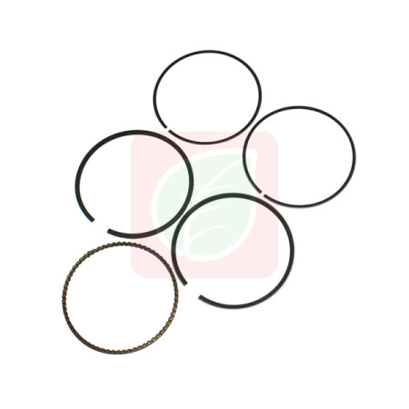 0001060080.jpg