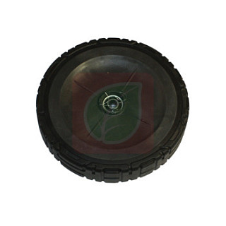 7500647.jpg