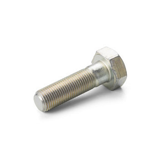 N309599008 Seco screw